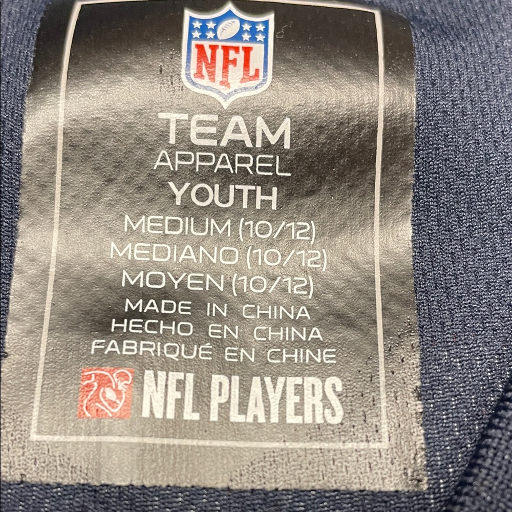 Youth NFL Chicago Bears #29 Team Jersey - Picture 2 of 5